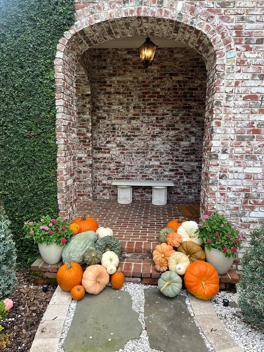 The Cozy Patch