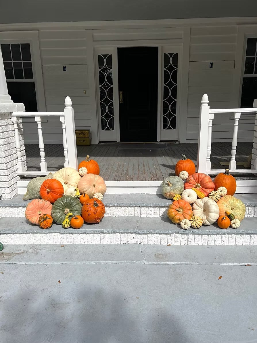 The Pumpkin Parade